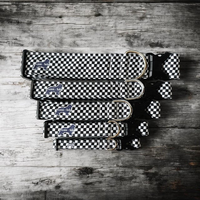 checkered | remi + lola