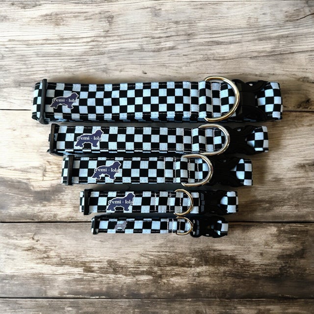 checkered | remi + lola